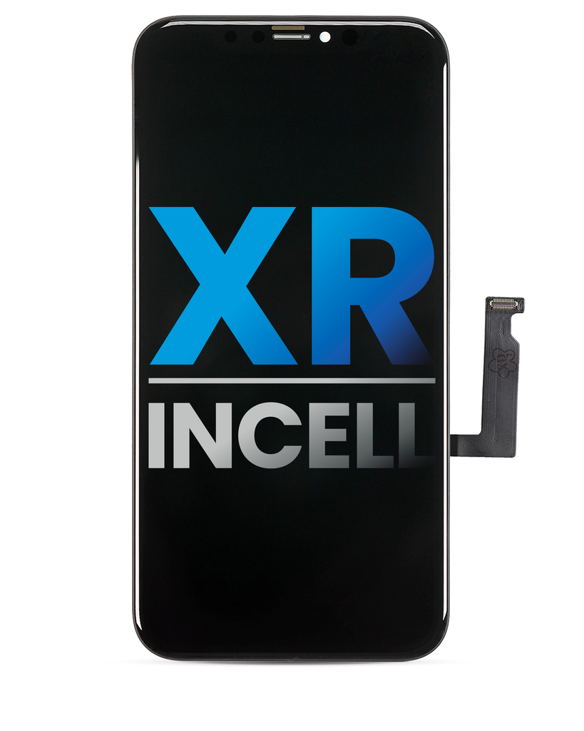 xr.webp