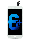 1720047882-6685d90a6a6c5.png