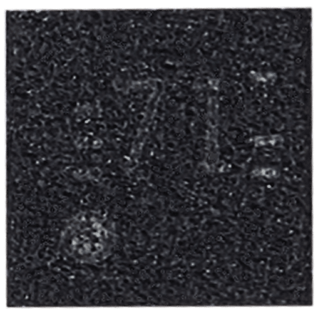 1720433680-668bbc100f10a.png