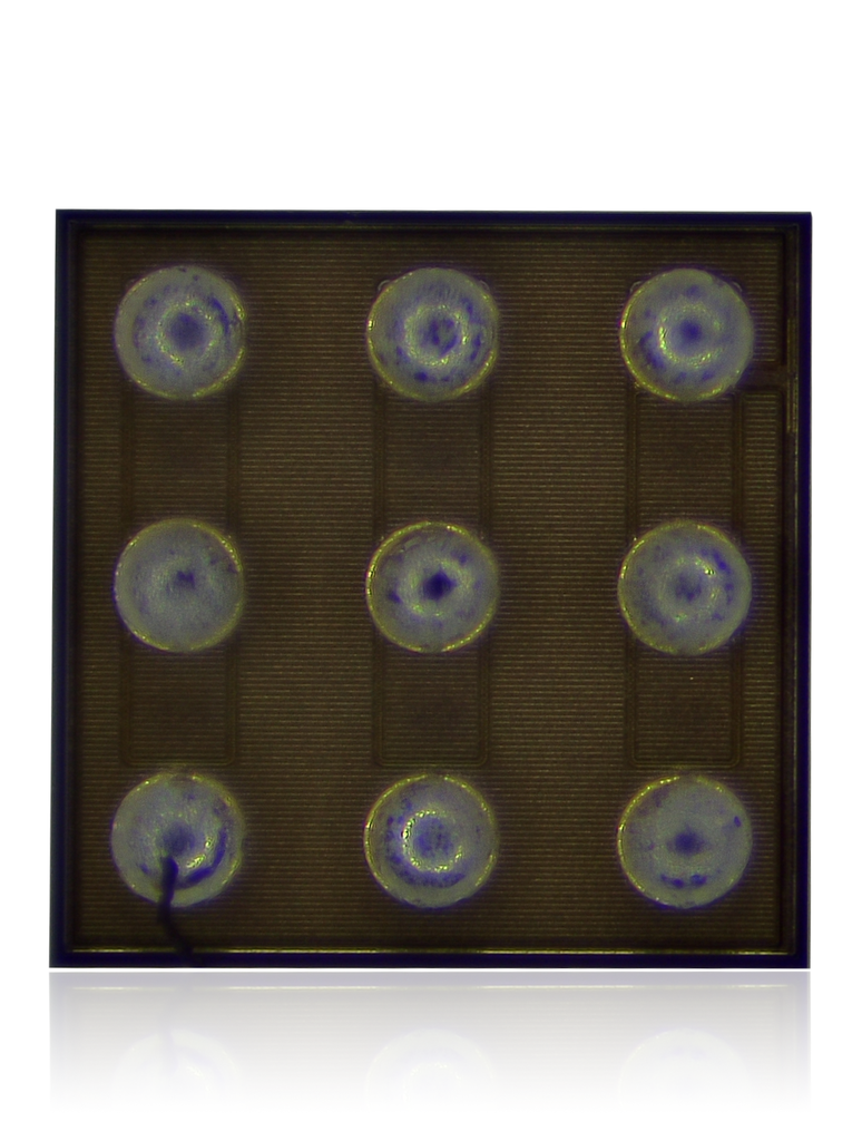 207082015168_1_.png