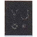 1720059913-66860809cc230.png
