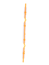 107082072021_3_1.png
