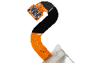 1714014460-6629c8fc85ceb.png