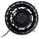 1718249270-666a67362ea11.png