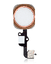 Home Button With Flex Compatible For iPhone 6S / 6S Plus (Rose Gold)