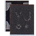 Fingerprint Power Supply IC Compatible For iPhone 7 / 7 Plus (U4805 U4806: YJ: 6 Pins)