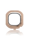 Back Camera Lens Compatible For Samsung Galaxy J5 Duos (J510/2016) (Gold)