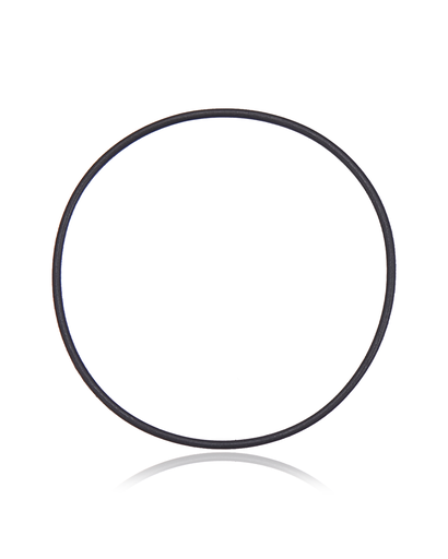 Back Camera Lens O-Ring Gasket Compatible For iPhone X / XS / XS Max (100 Pack)